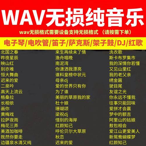 无损音乐u盘高品质WAV纯音乐
