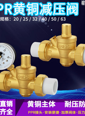 家用电热水器净水器PPR活接热熔