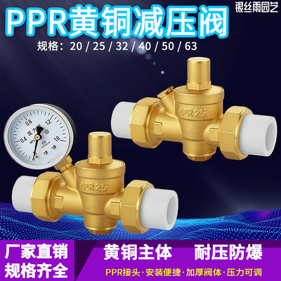 家用电热水器净水器PPR活接热熔
