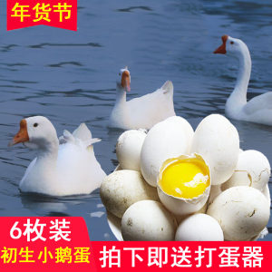 孕妇梦见吃鹅蛋是什么意思怀孕梦见鹅蛋是啥意