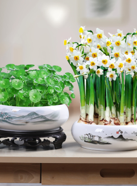 陶瓷简约水仙花无孔水培花盆