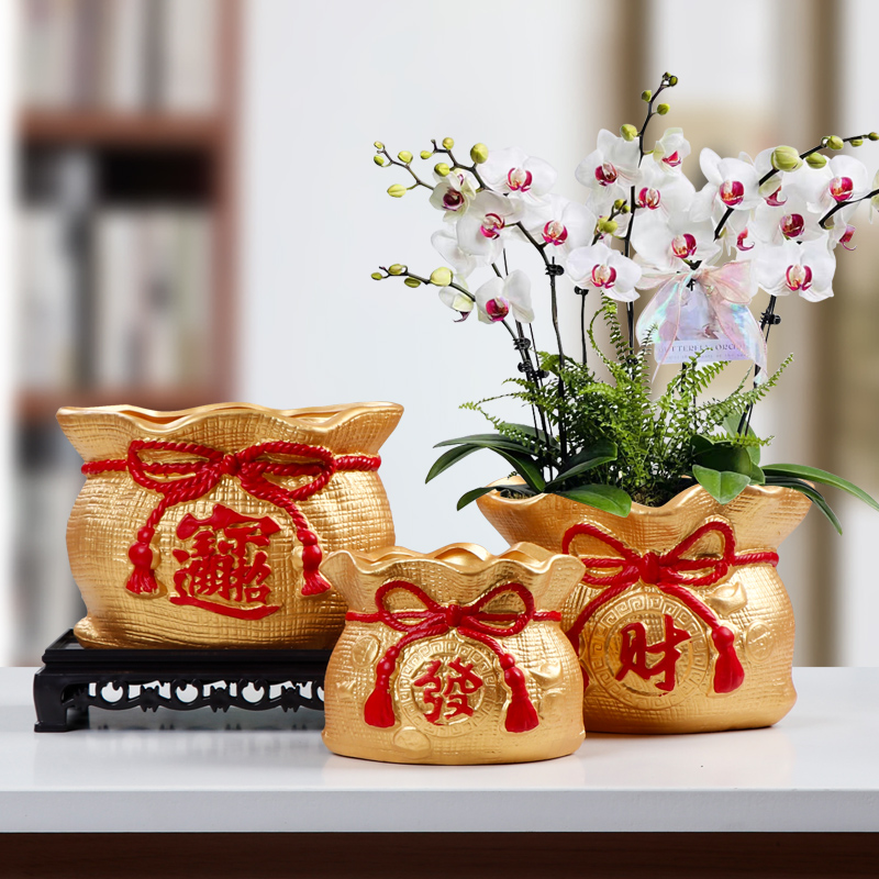 多肉花盆钱袋透气陶罐