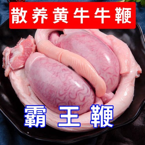 正宗新鲜黄牛鞭牛三宝全套整条