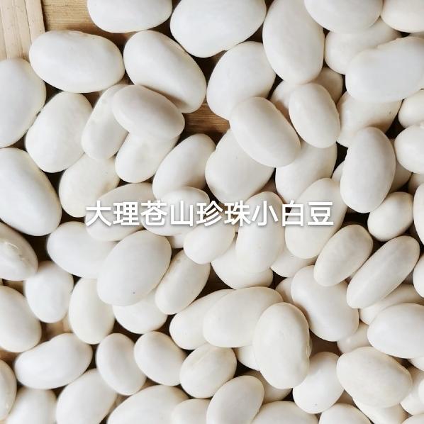 24年云南山地小白芸豆大理苍山珍珠小白豆甜粉糯糯米豆小雪豆净重