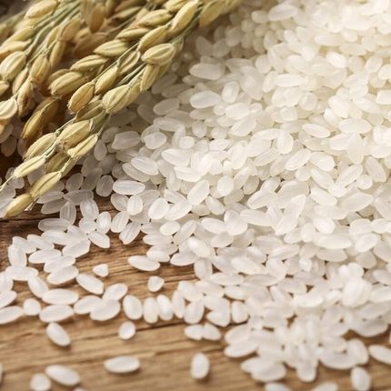 25年大理江尾洱海边新鲜粳米云南大米农户自产自销鱼田米10斤包邮