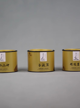 茶叶罐茶叶包装盒空礼盒通用铁盒子母盖红茶 茶叶盒马口铁 收纳盒