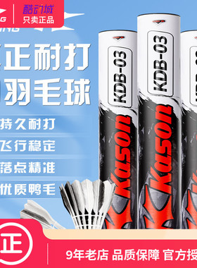 李宁凯胜羽毛球KGB03/G100/G200/G300/G600/G500鹅毛耐打羽毛球