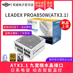振华LEADEX 机主机机箱电源金牌全模atx3.1白色 PROA850W电脑台式
