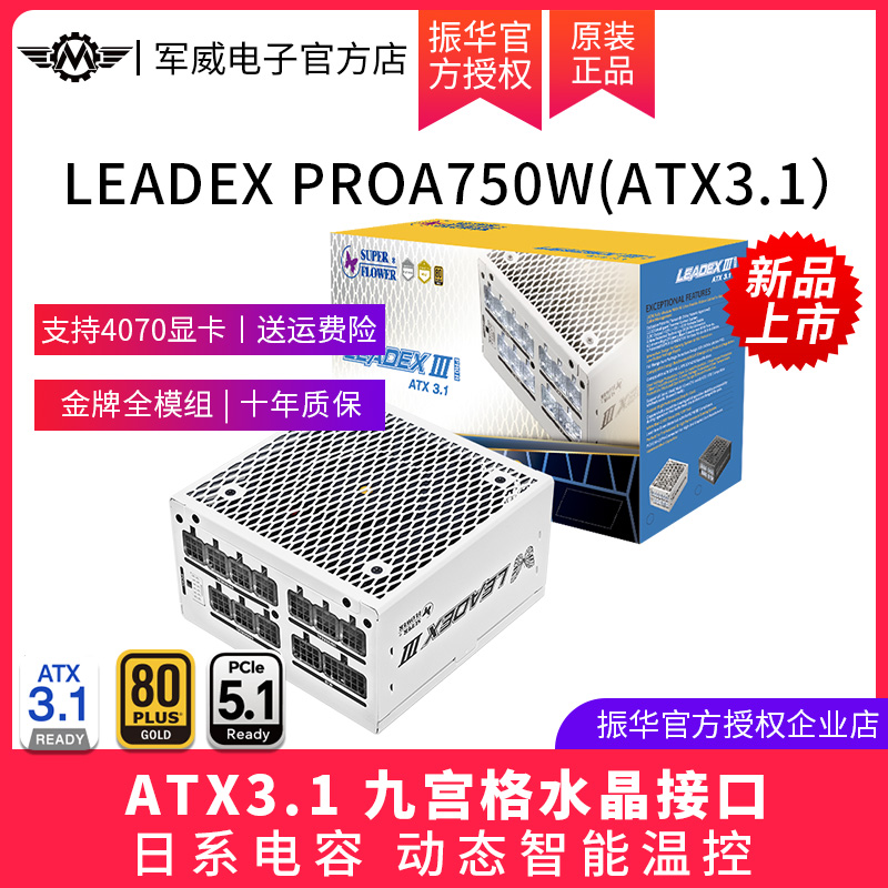振华电脑电源1000W振华ATX3.1