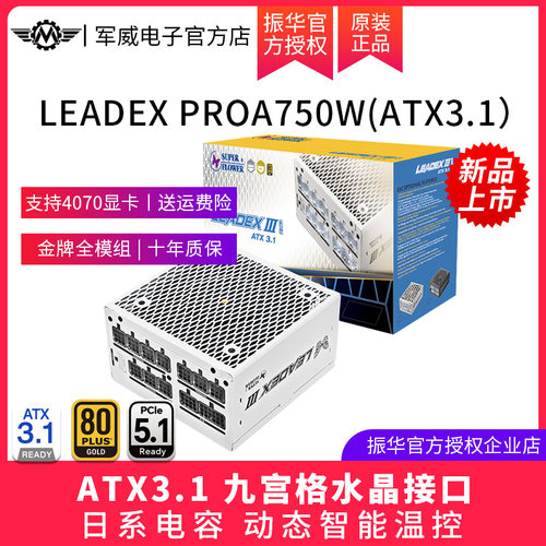 振华电脑电源1000W振华ATX3.1