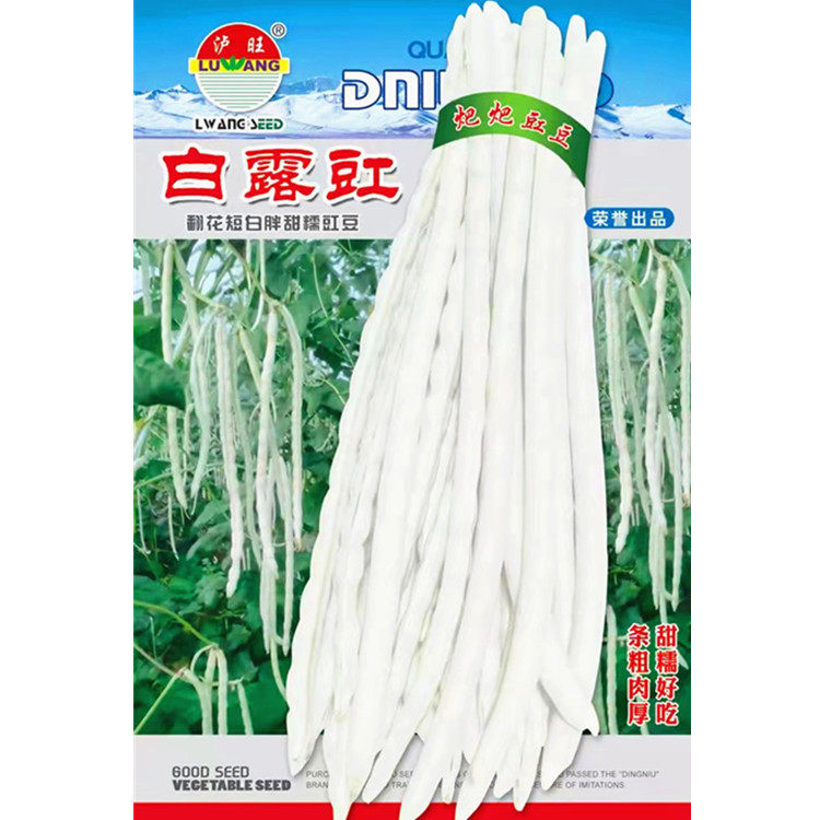 翻花短雪胖白豇豆种子甜糯白露豇