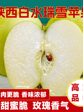 2025陕西白水正宗瑞雪农大科研青苹果青黄孕妇纯甜花香绿苹果水果