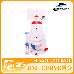 BM蛋分可乐5 B10蛋分器海水鱼缸内置过滤器蛋白质分离