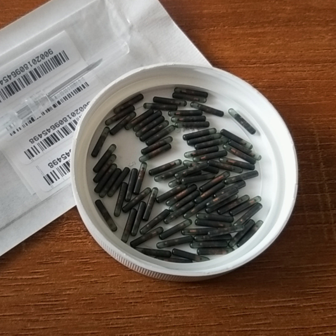 鱼类活体芯片 动物活体芯片 F皮肤喷剂