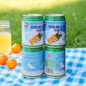 雪域方品 四川特产四姑娘山牌VC沙棘饮料食品246ml拉罐24听罐装