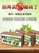 椰砖营养土通用型椰土椰糠低盐清仓 耶砖花土种菜种花椰壳垫材 包邮