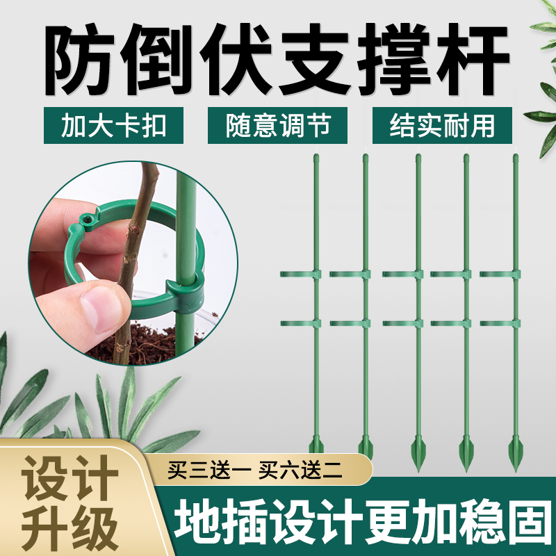 园艺支撑杆植物防倒伏花杆塑形