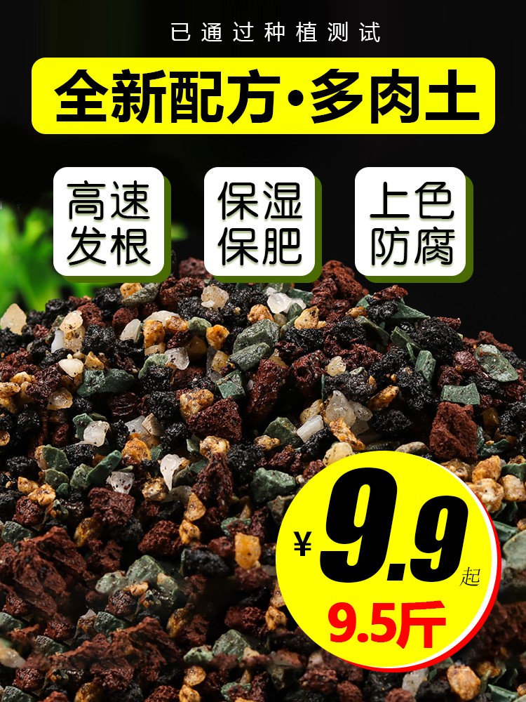 多肉土专用营养土多肉植物颗粒土泥炭土多肉换盆叶插种植铺面石