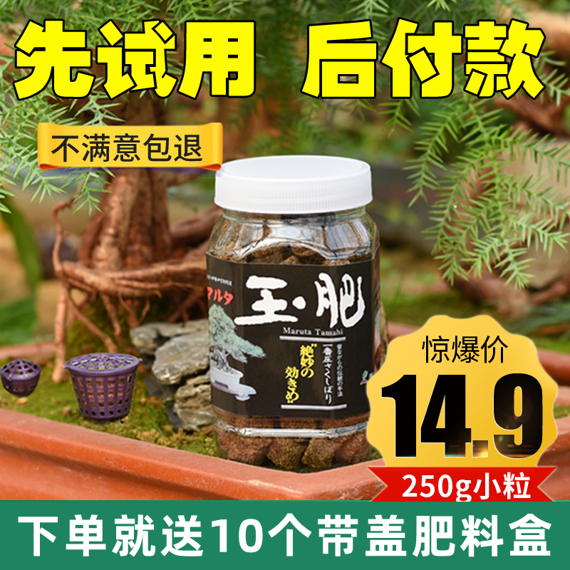 玉肥日本进口价格 玉肥日本进口图片 星期三 玉肥日本进口价格 玉肥日本进口图片 星期三