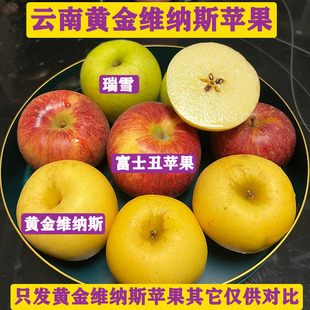云南昭通黄金维纳苹果有锈斑脆甜多汁野化程度高净重4.5斤装9斤装