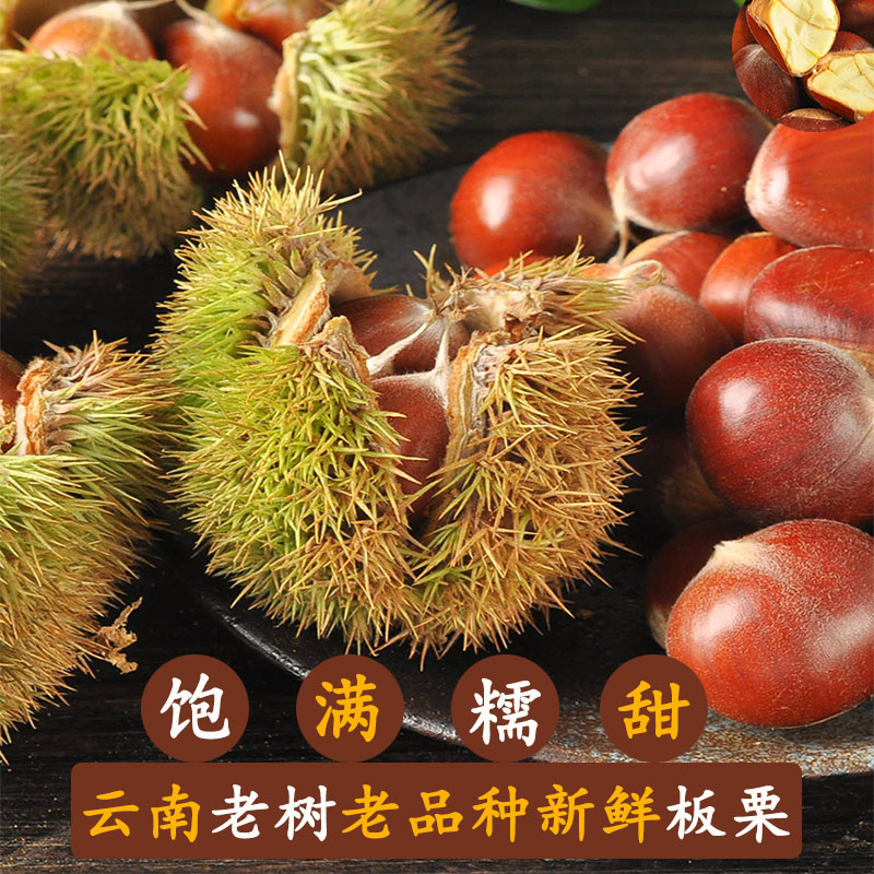 云南新鲜生板栗26年新货老树老品种颗粒饱满糯甜现摘现发