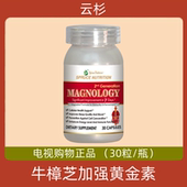 电视正品 美国原装 进口云杉Spruce新一代牛樟芝加强黄金素