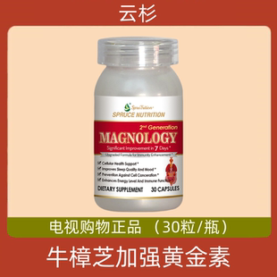 美国原装进口云杉Spruce新一代牛樟芝加强黄金素 电视正品