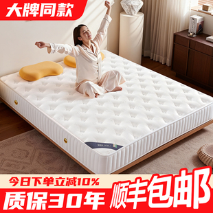 弹簧床垫10cm厚独立静音席梦思椰棕环保0胶水乳胶家用卧室可定制