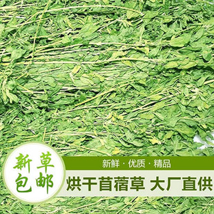 新烘干苜蓿草紫花苜蓿草龙猫牧草兔粮饲料毛重1.8斤兔干草