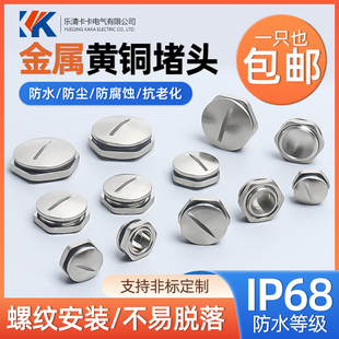 金属堵头一字槽塞头PG7-PG21铜镀镍防水六角形堵头M12-M63金属闷