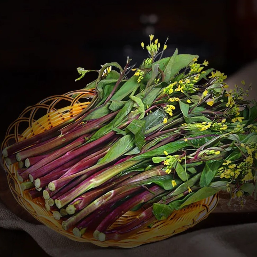 红菜苔农家自种麻阳本地