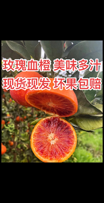 麻阳应季水果 玫瑰血橙 4斤装 坏果包赔