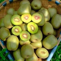 麻阳西晃山自然成熟的红心猕猴桃麻阳红心猕猴桃生鲜水果