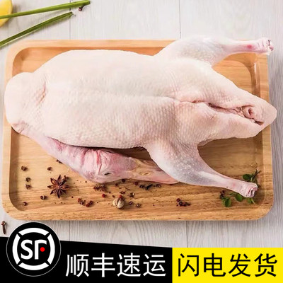 广东新鲜现杀4-6斤白鸭整只鸭货生鲜食材冷冻白条鸭番鸭麻鸭商用