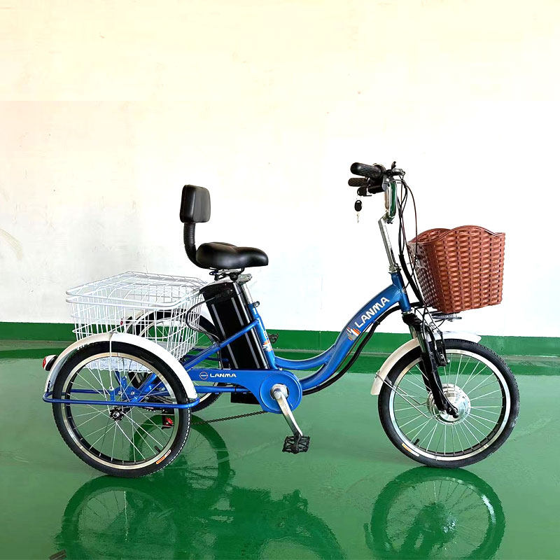 老年电动人力脚踏三轮车助力代步车16/20寸小型轻便送父母