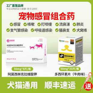 中龙神力宠物猫咪感冒药速效打喷嚏流鼻涕诺狗狗多西环素片猫鼻支