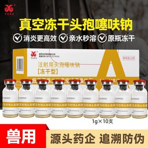 兽药头孢噻呋钠猪牛羊兽用消炎药