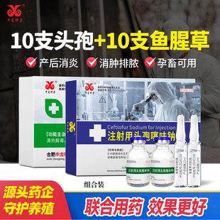 兽用注射用头孢噻呋钠鱼腥草注射液母猪产后消炎针剂牛羊感冒兽药