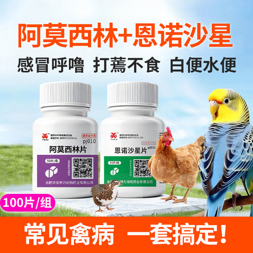 阿莫西林鸡鸭鹅鸟用鹦鹉玄凤