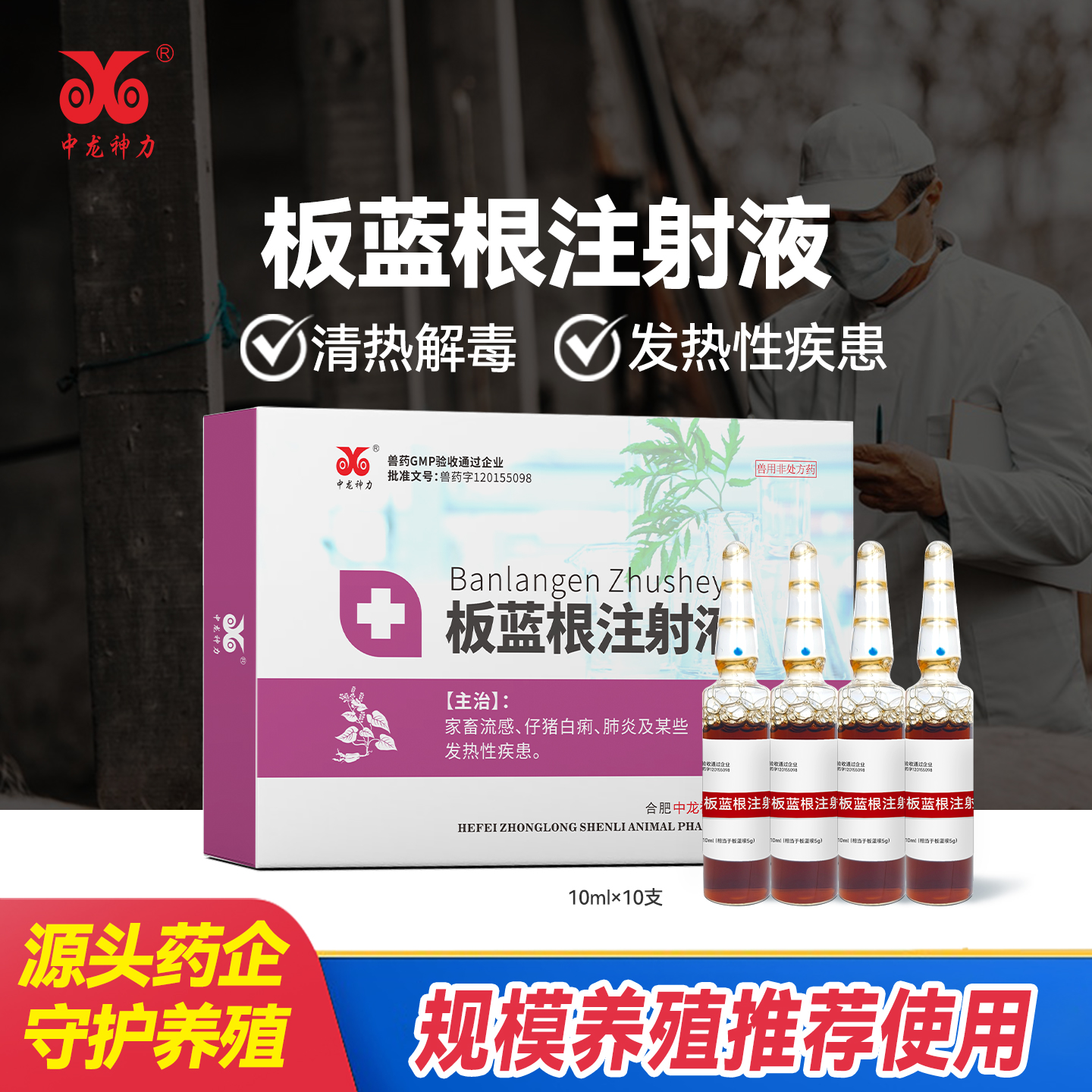 中龙神力兽药板蓝根注射液猪牛羊