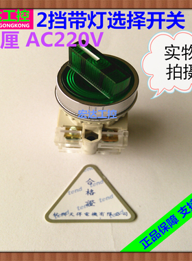 正品天得22厘2挡带灯选择开关T2ISG-1A绿色自锁二段按钮开关1A1B