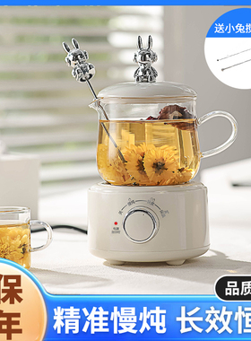 苏宁养生壶办公室小型煮茶壶玻璃煮茶器保温家用多功能烧水壶2297