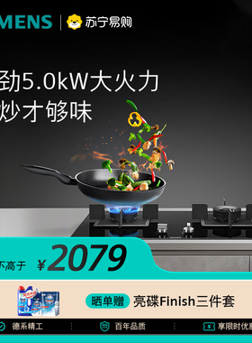 西门子燃气灶5.0kW大火力双灶灶具台嵌两用灶台 JF23MP【自营56】