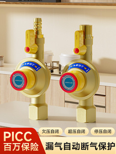 家用天然气燃气管道自闭阀漏气自动断气保护泄露防漏安全阀门1384