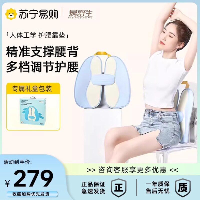 易舒生D8人体工学靠垫办公室腰靠靠垫座椅腰垫护腰汽车靠背垫2401