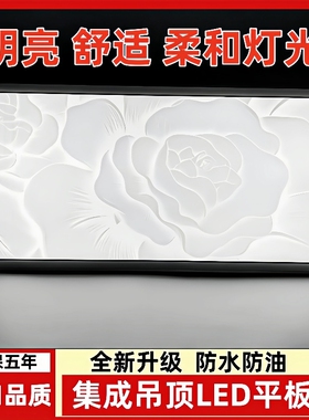 集成吊顶led灯厨房灯平板灯卫生间嵌入式长方形30x60吸顶灯扣板灯