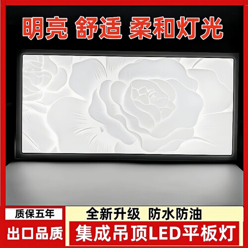 集成吊顶led灯厨房灯平板灯卫生间嵌入式长方形30x60吸顶灯扣板灯