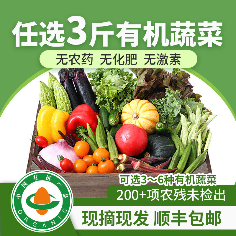 旭耕 任选3斤当季时令有机蔬菜套餐孕婴轻食新鲜现摘现发顺丰包邮