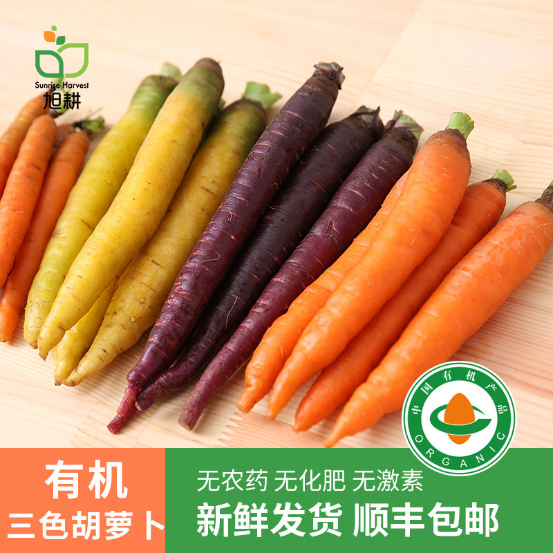旭耕 有机三色胡萝卜新鲜红黄紫胡萝卜生吃蔬菜孕妇蔬菜3斤装顺丰