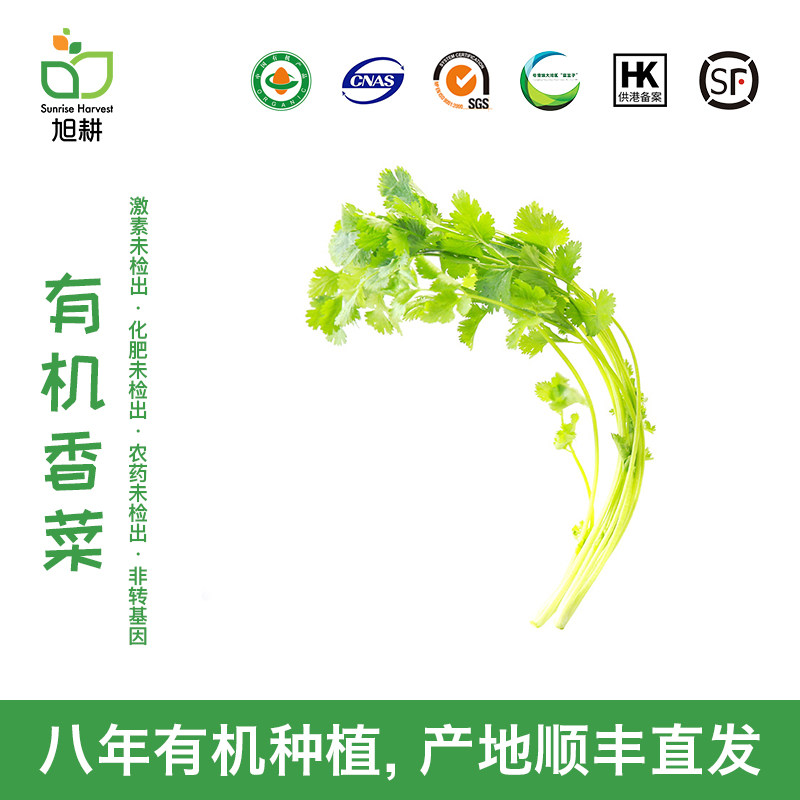 Xu Geng Organic parsley 150g Jingcai fresh Bag of vegetables Hot Pot Flavor Salad edible Titian Big leaf Shunfengin the Aquatic meat/Fresh fruits and vegetables/Cooked , Fresh vegetables/Vegetable products , Jingcai  category - from Buy2taobao.com to provide professional Taobao agent buy service